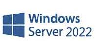 vps windows server2022